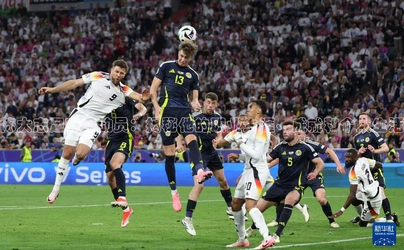 门徒平台登录入口官网注册姚记科技