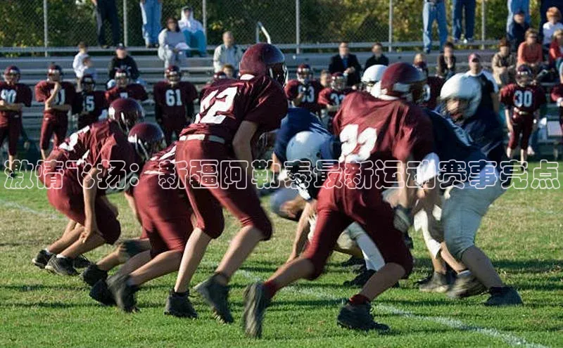 门徒平台登录入口官网注册极氪智能科技